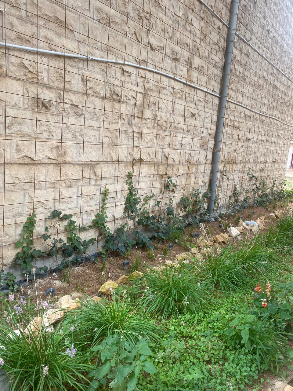NAWAMED — Living Green Wall