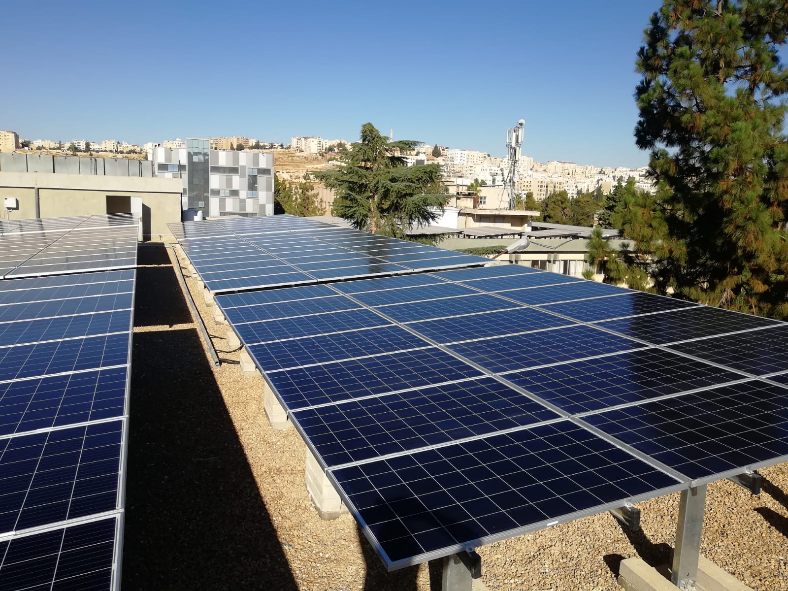 Net zero roadmap